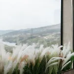 Quinta Do Bento Guest house