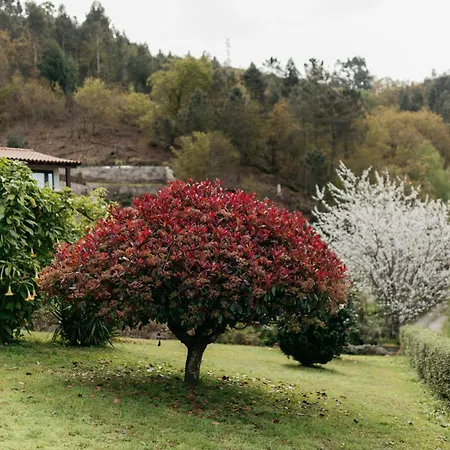 Quinta Do Bento Penzion Vieira do Minho