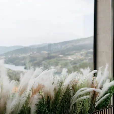 Quinta Do Bento Penzion