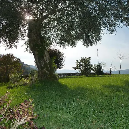 Quinta Do Bento Vieira do Minho