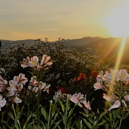 Quinta Do Bento Affittacamere