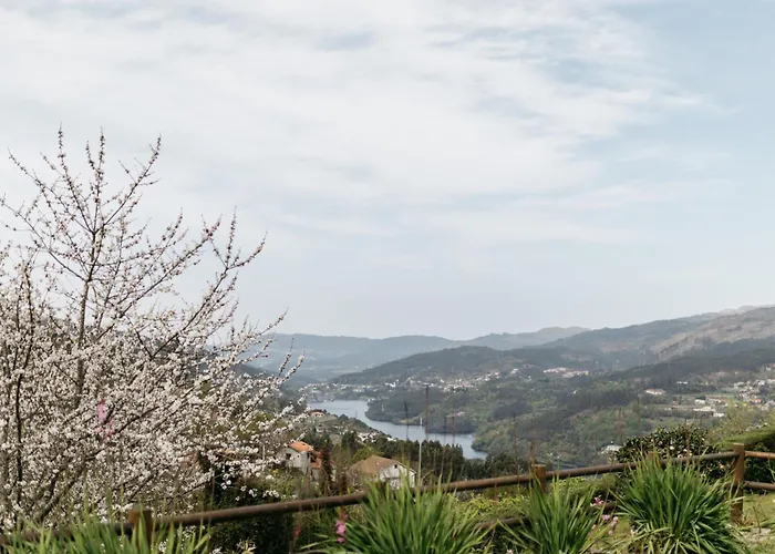 بيت ضيافة Quinta Do Bento فييرا دو مينهو