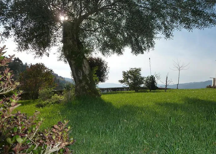 Quinta Do Bento فييرا دو مينهو