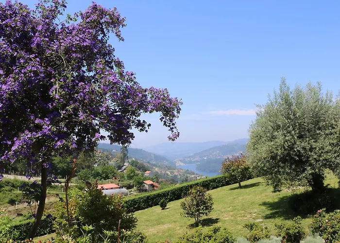 Quinta Do Bento Vieira do Minho