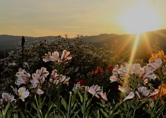 Quinta Do Bento Gæstehus