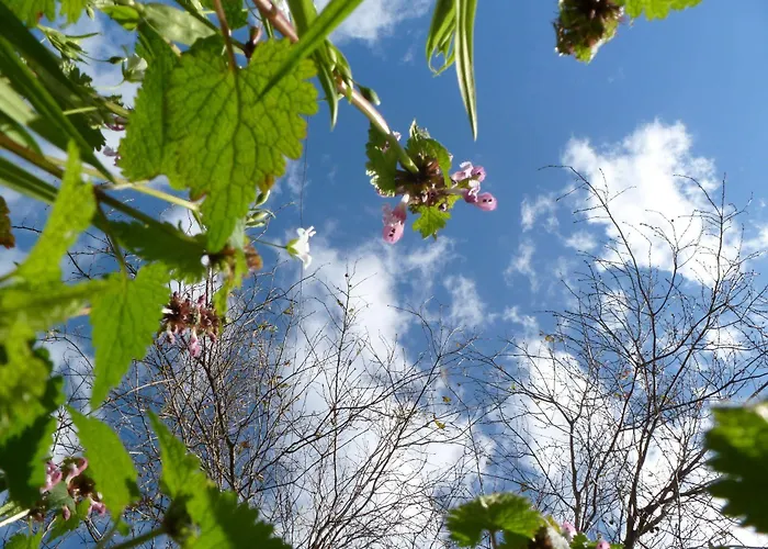 Gæstehus Quinta Do Bento 4*